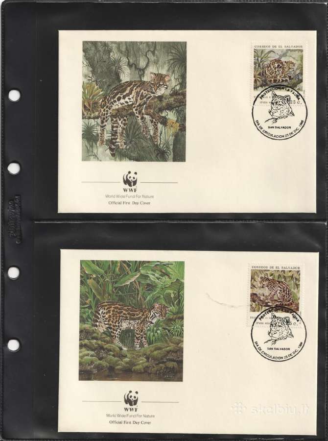 Wwf albumai - nuotraukos Nr. 25
