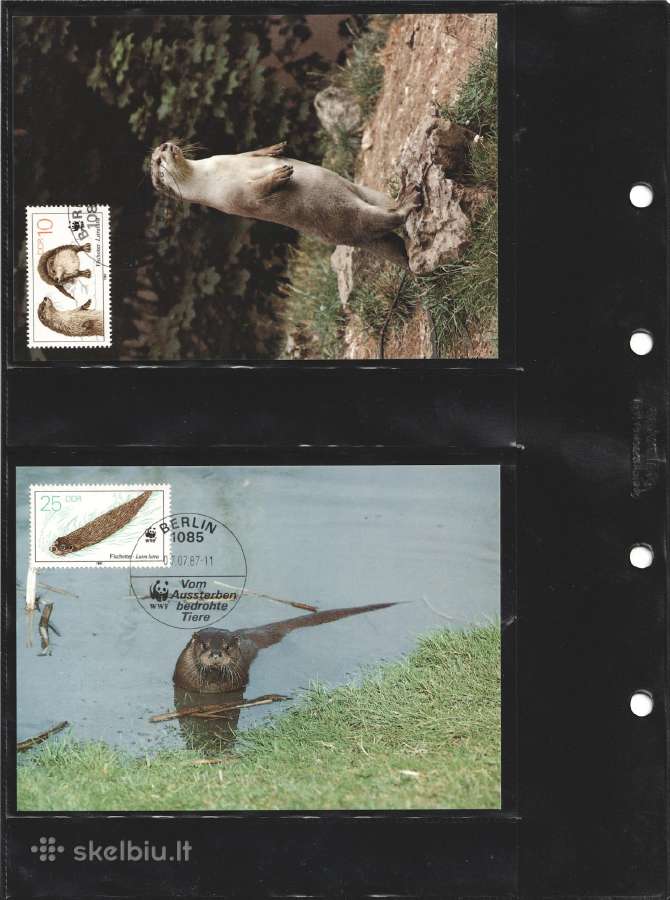 Wwf albumai - nuotraukos Nr. 26