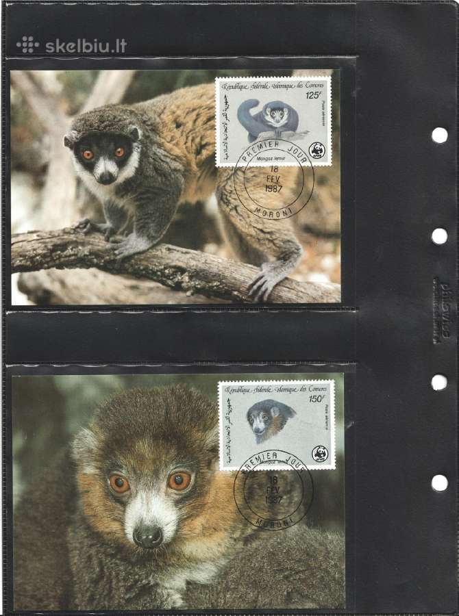 Wwf albumai - nuotraukos Nr. 30