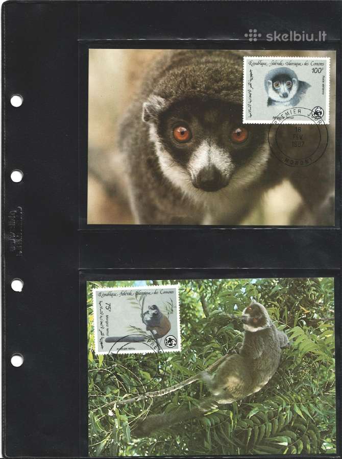 Wwf albumai - nuotraukos Nr. 31