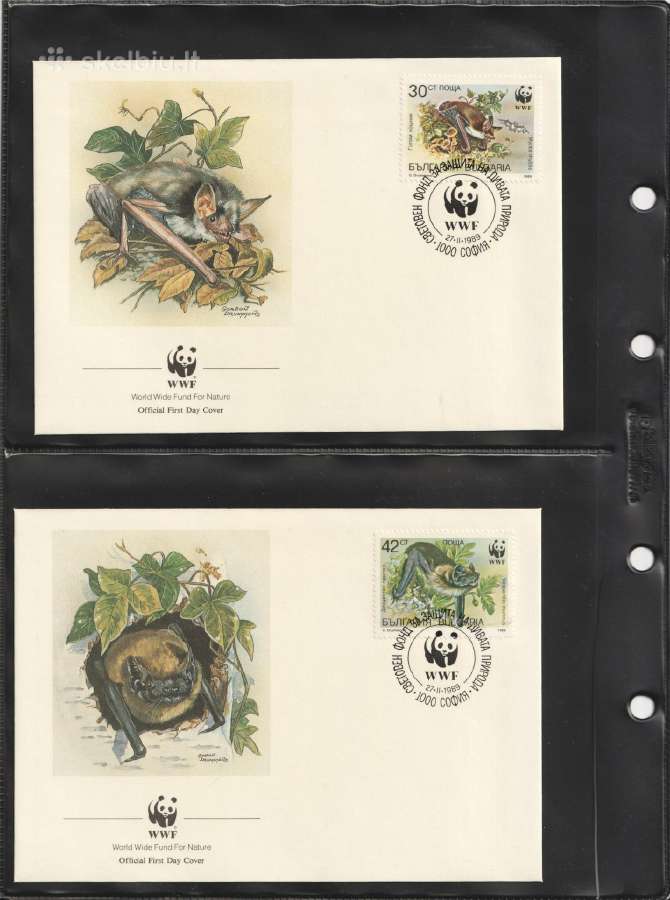 Wwf albumai - nuotraukos Nr. 36