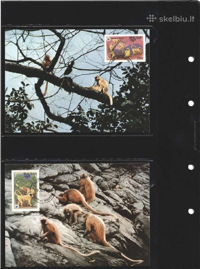 Wwf albumai - nuotraukos Nr. 38