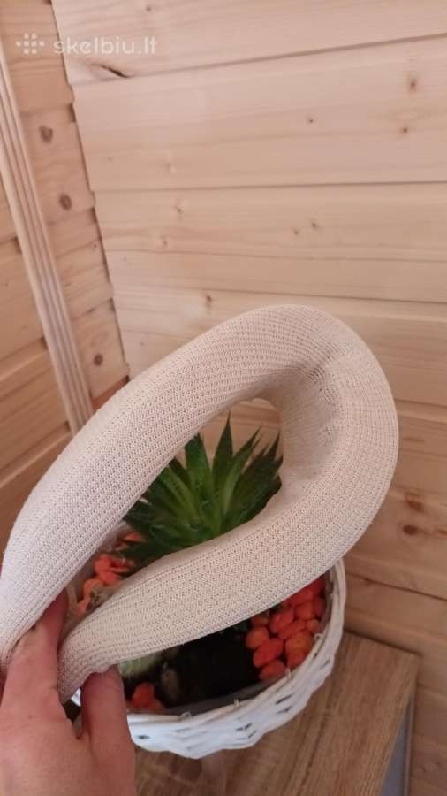 Kaklo įtvaras