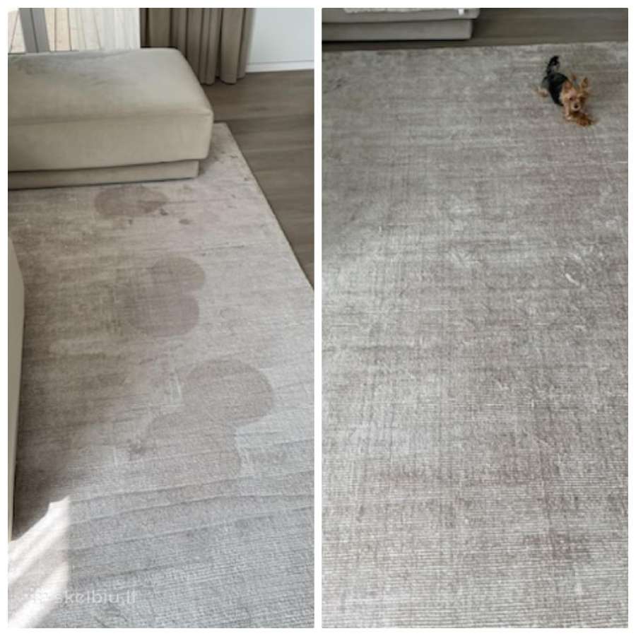 Karcher plaunančio plaunamo siurblio Nuoma - nuotraukos Nr. 6