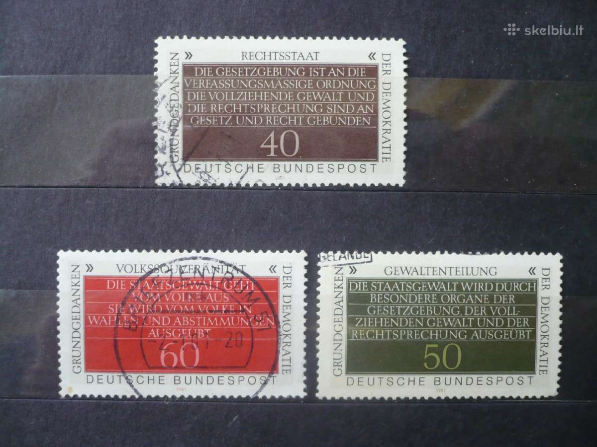 1981 m. Informacija apie politiką