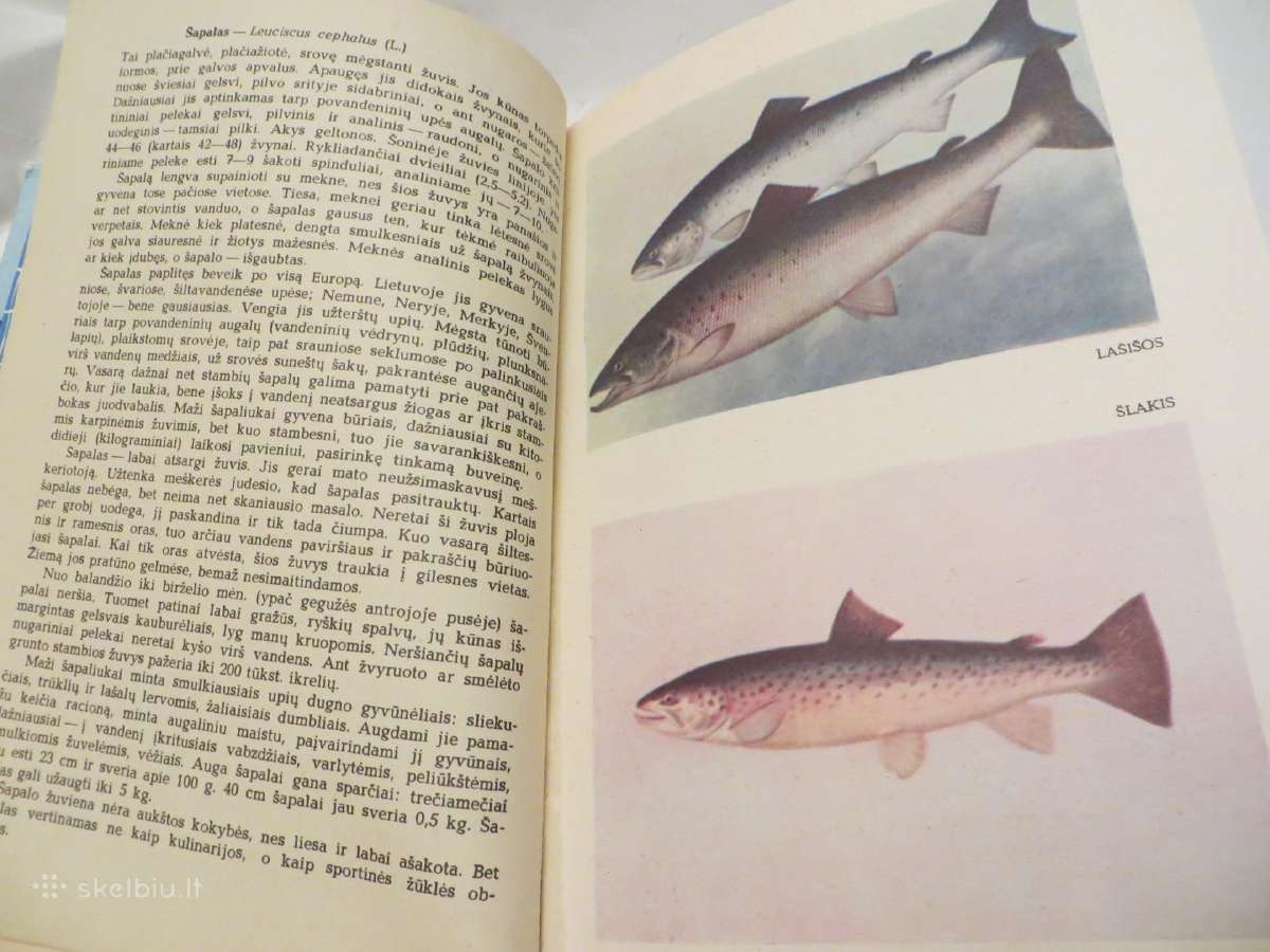 Knyga Žvejo vadovas 1982 - nuotraukos Nr. 14