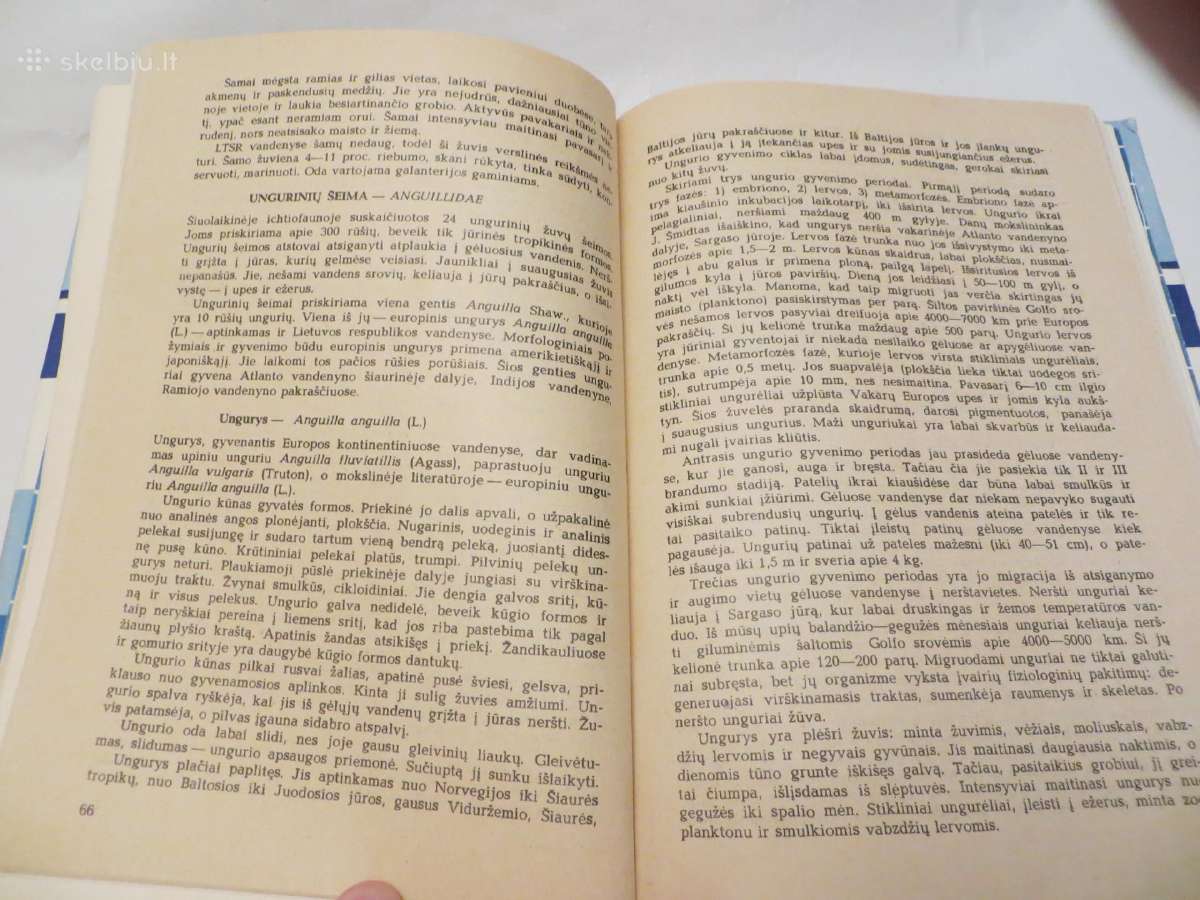 Knyga Žvejo vadovas 1982 - nuotraukos Nr. 17