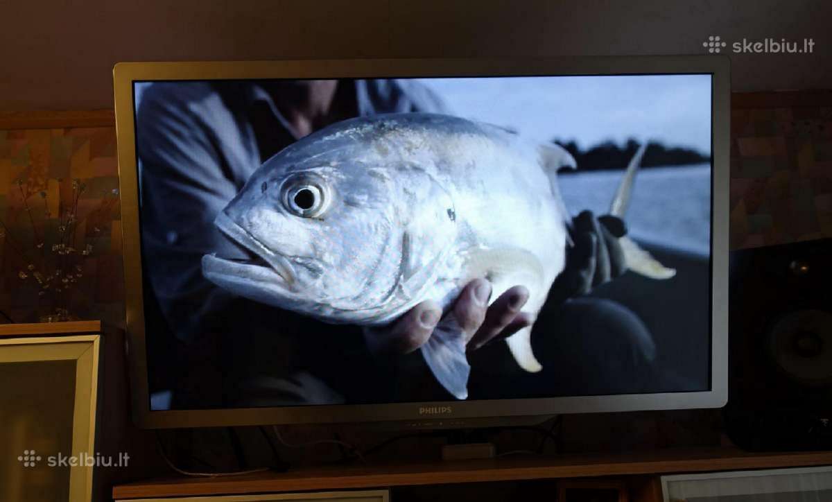 3D LCD 42 inch Televizorius Philips 42pfl7606h/12 - nuotraukos Nr. 12