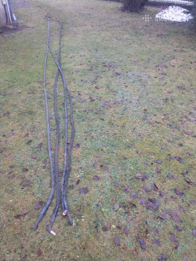 Tig degiklis rankove 8m wp26f wp17f - nuotraukos Nr. 8