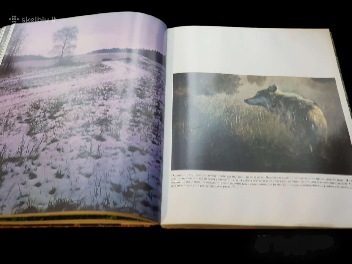 Fotoalbumas - Knyga Music of the Russian Forest - nuotraukos Nr. 6