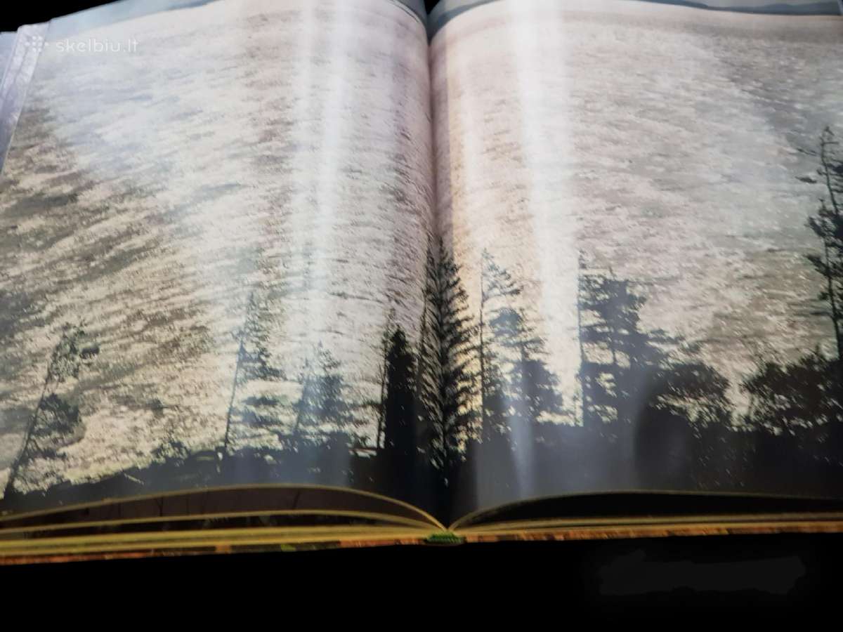 Fotoalbumas - Knyga Music of the Russian Forest - nuotraukos Nr. 8
