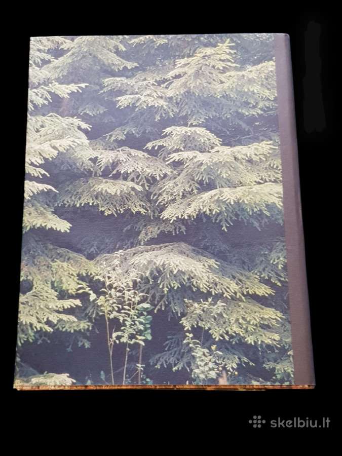 Fotoalbumas - Knyga Music of the Russian Forest - nuotraukos Nr. 13