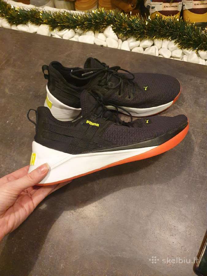 Puma kedukai