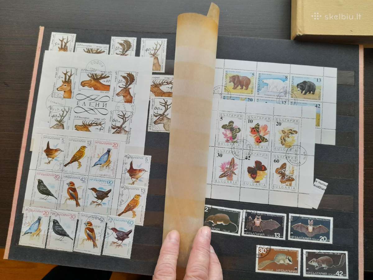 Markes Papildimas - nuotraukos Nr. 12