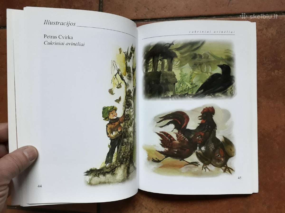 L. Skerstonaitė "Knygos, akvarelė, grafika" 2008 m - nuotraukos Nr. 7