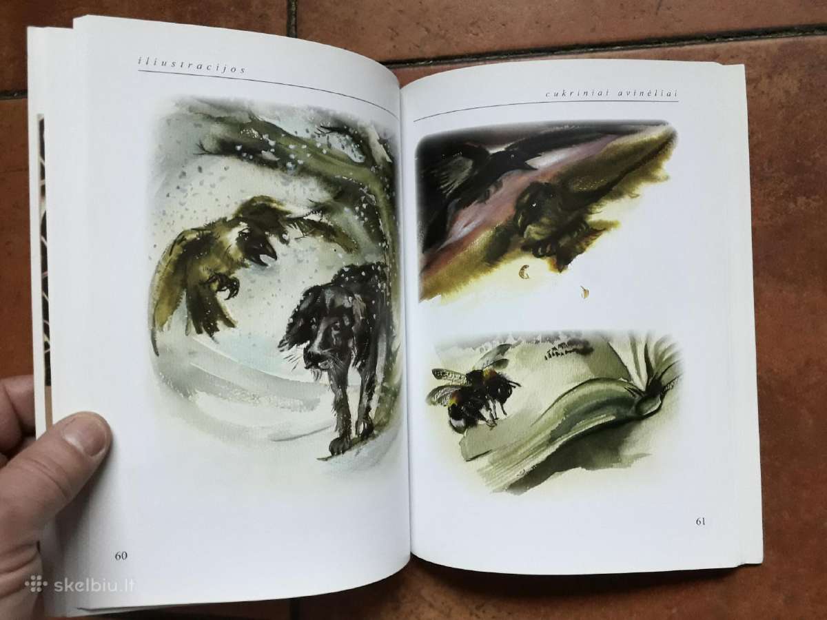 L. Skerstonaitė "Knygos, akvarelė, grafika" 2008 m - nuotraukos Nr. 8