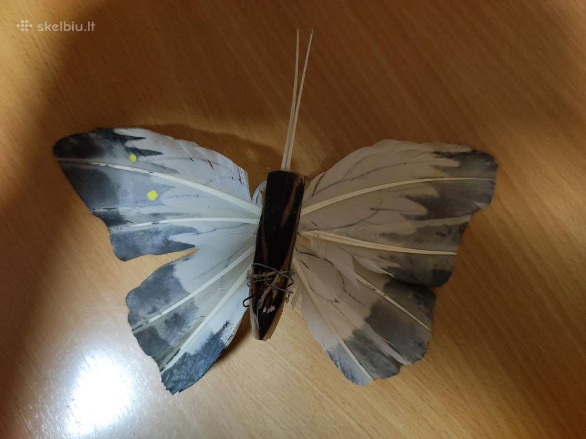 Dekoratyvinis drugelis - nuotraukos Nr. 2