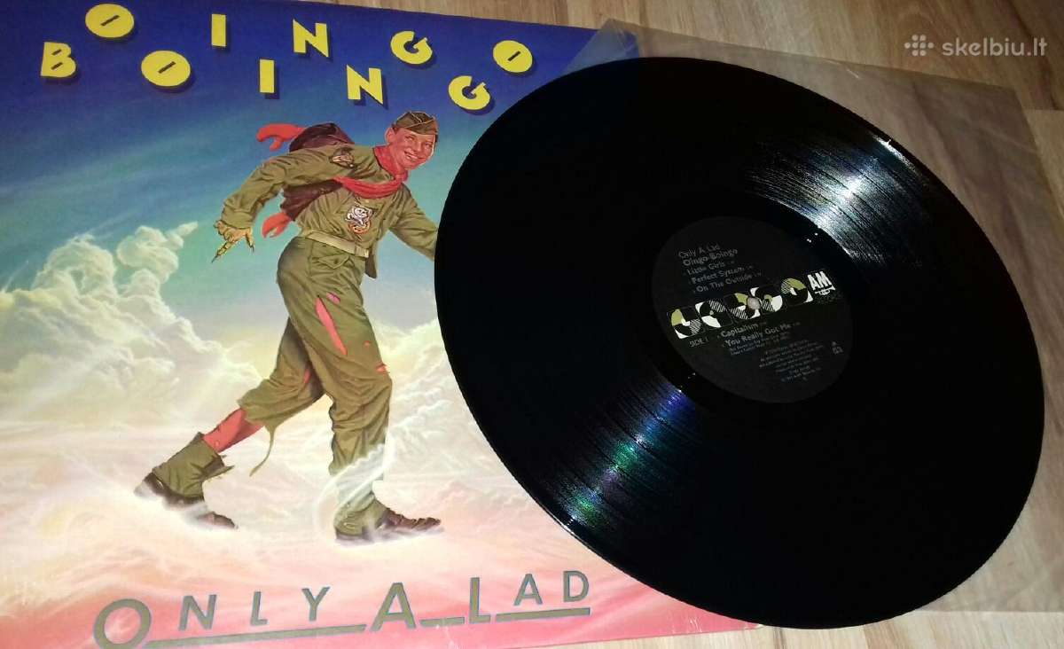 Elektroninės muziko vinilo plokštelių asm. kolekc. - nuotraukos Nr. 7