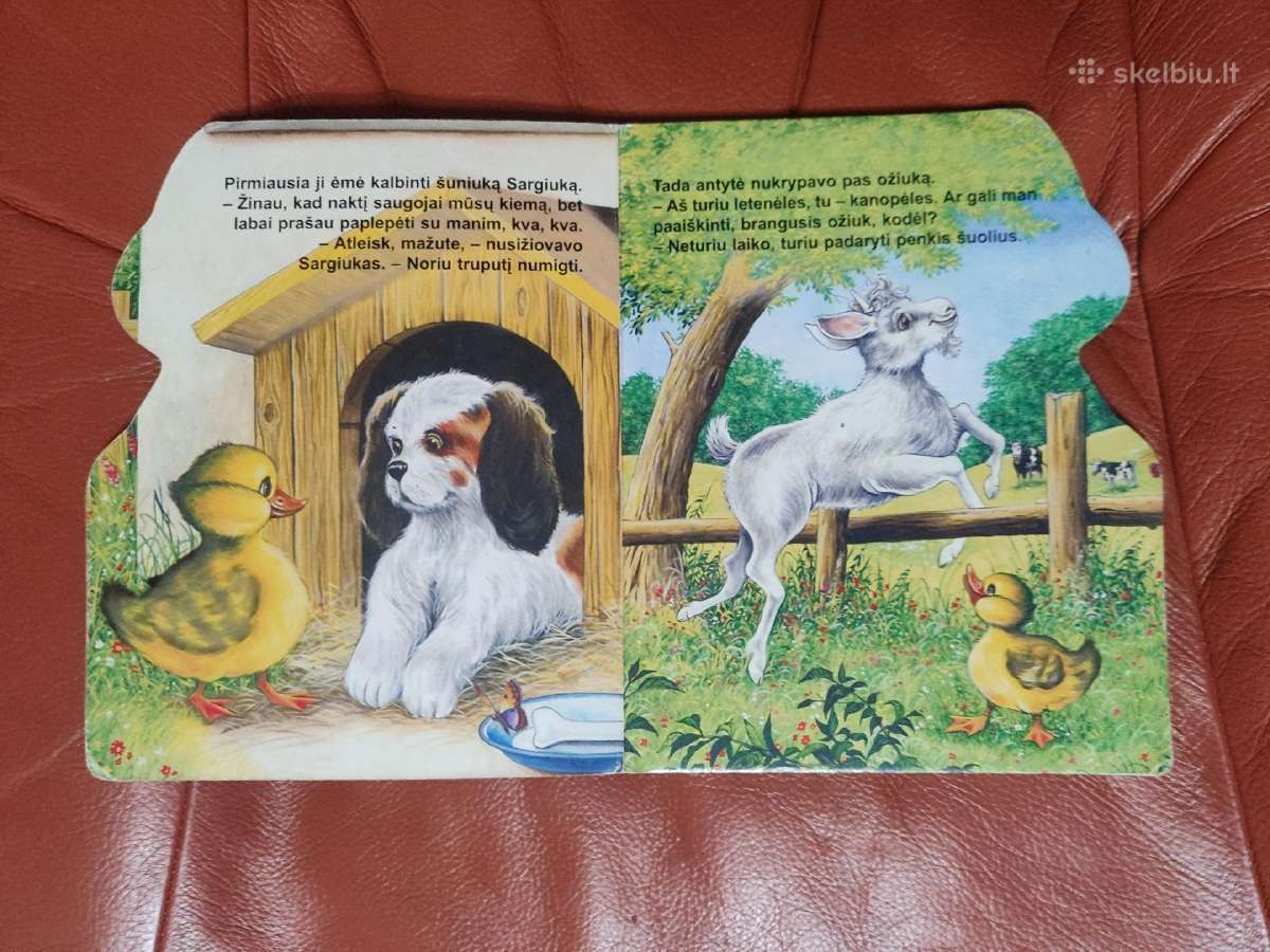 Storo kartono vaikų knyga Antytė Kvarksytė - nuotraukos Nr. 4