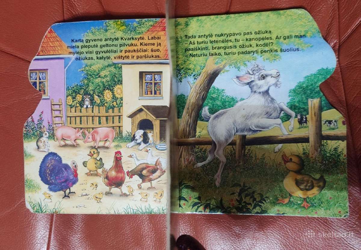 Storo kartono vaikų knyga Antytė Kvarksytė - nuotraukos Nr. 5