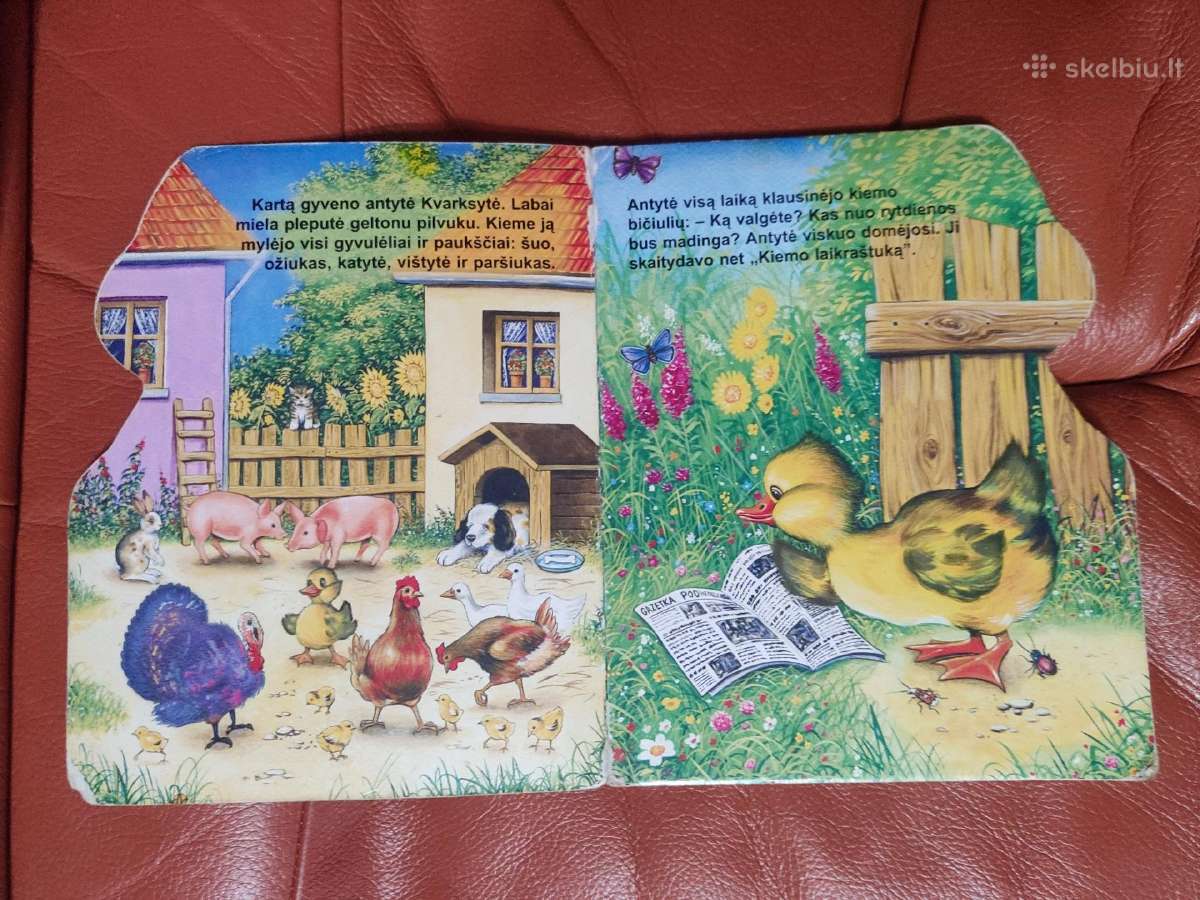 Storo kartono vaikų knyga Antytė Kvarksytė - nuotraukos Nr. 6