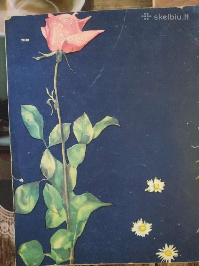 Namie ir gatvėje. Danas Bichorianus 1984 m. - nuotraukos Nr. 2