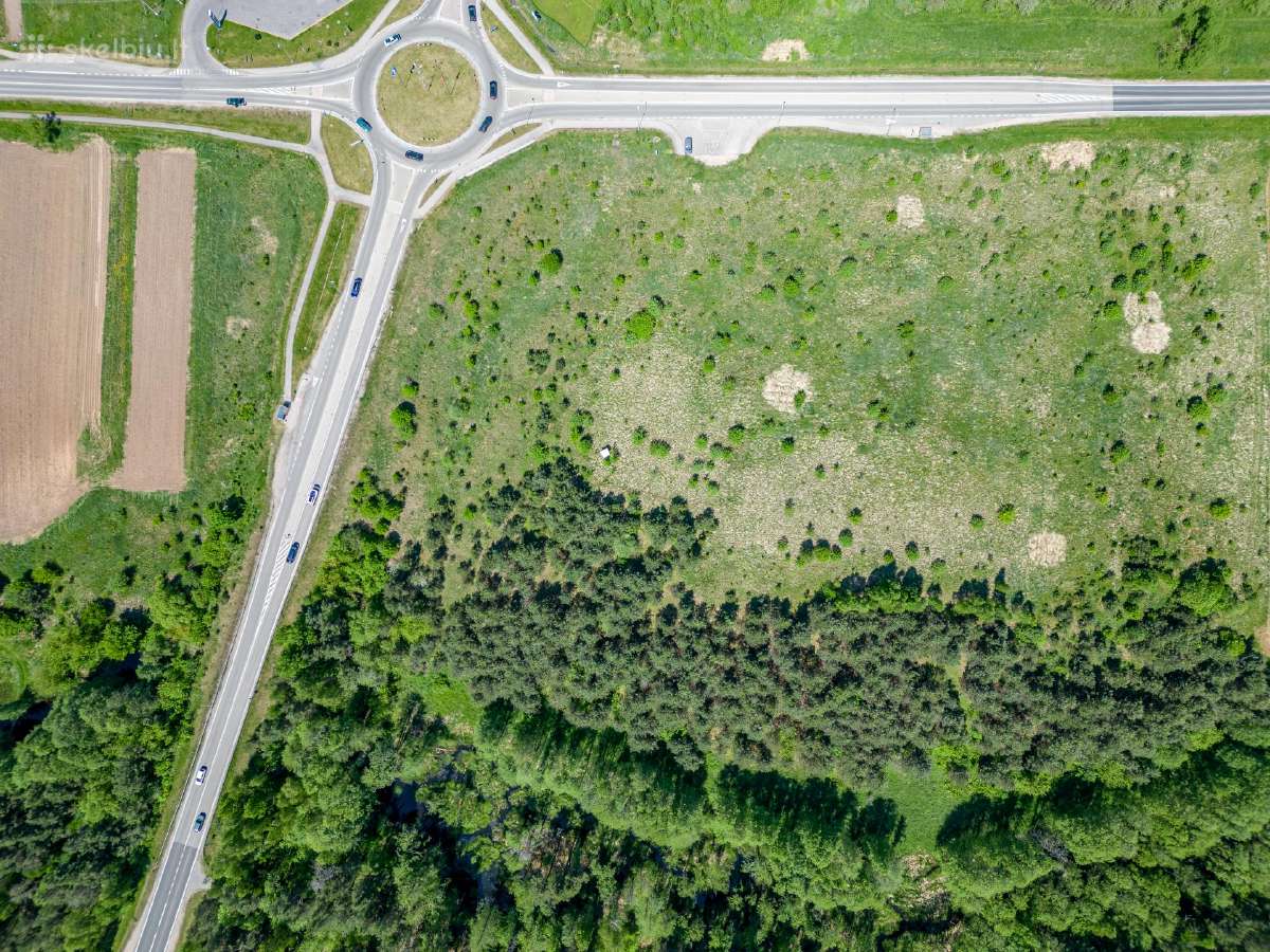 Nt fotografija, retušuotos nuotraukos pardavimui - nuotraukos Nr. 31
