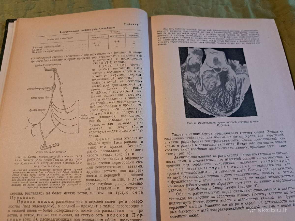 Medicina - nuotraukos Nr. 13