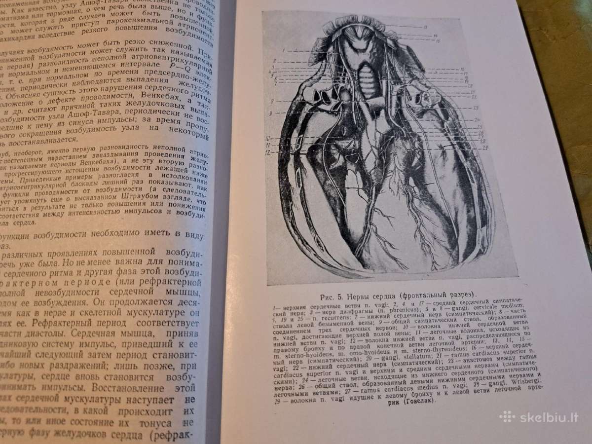 Medicina - nuotraukos Nr. 14