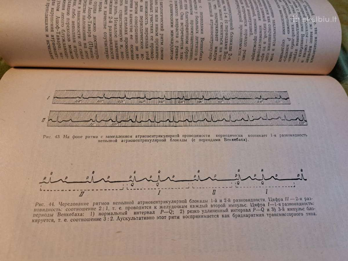 Medicina - nuotraukos Nr. 17