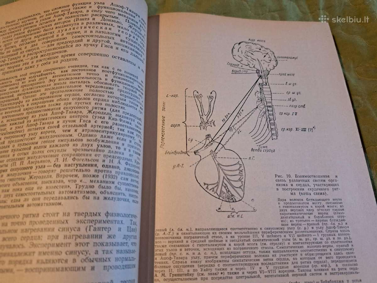 Medicina - nuotraukos Nr. 18