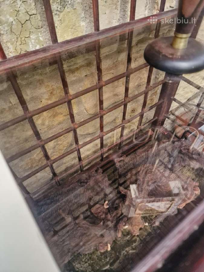 Vintažinė mid century ratango etažerė - nuotraukos Nr. 27