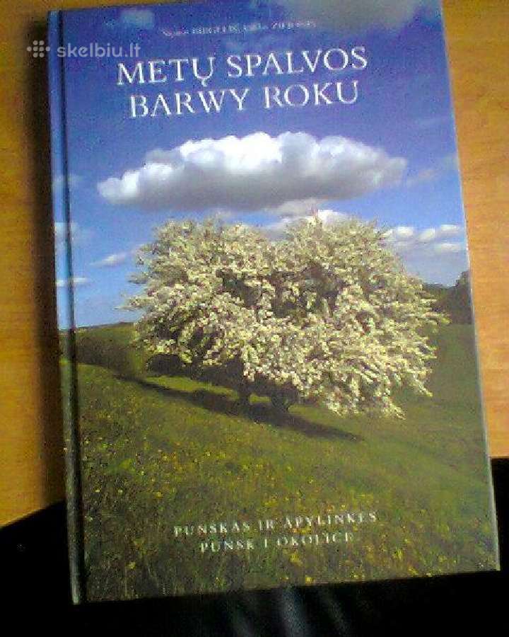 Metų spalvos