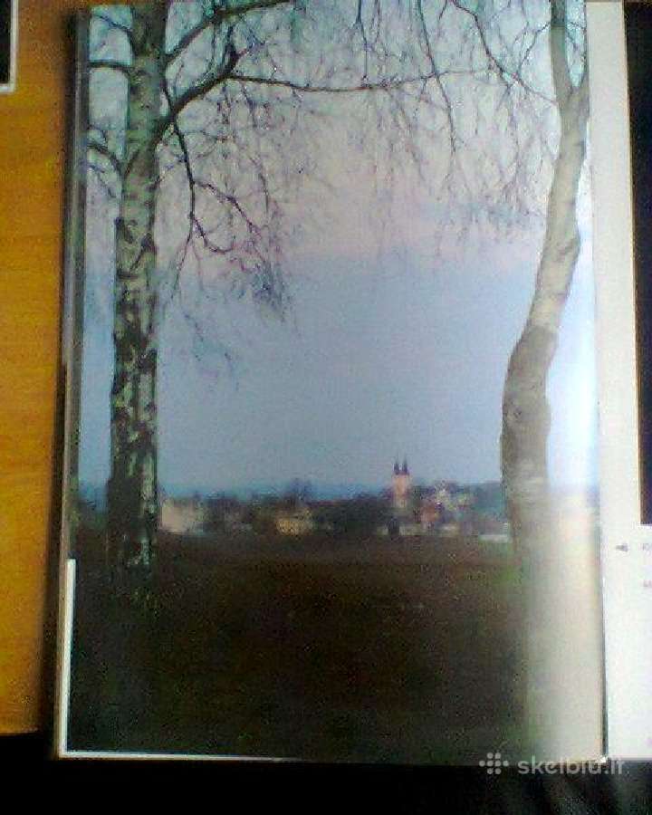 Metų spalvos - nuotraukos Nr. 2
