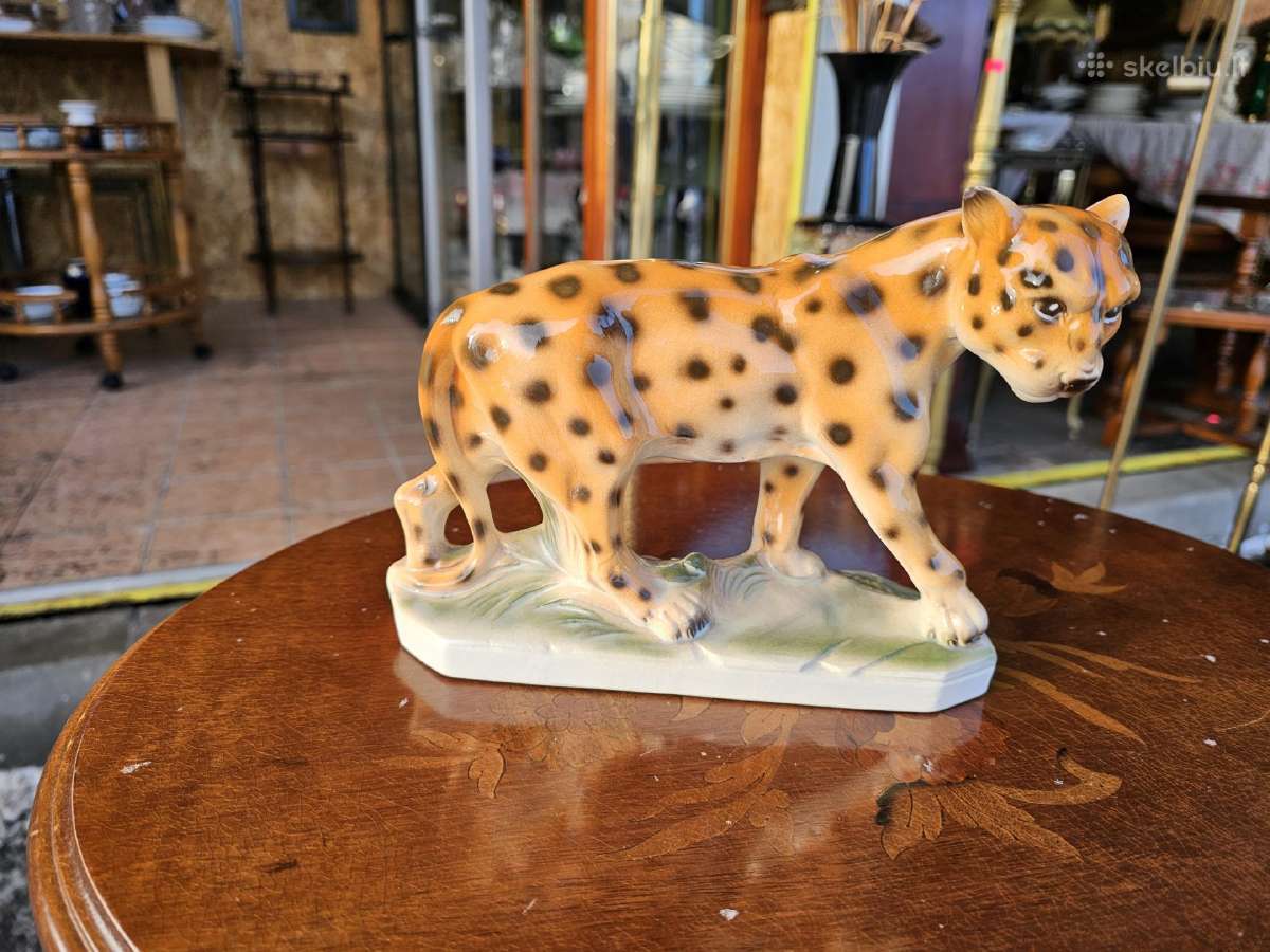 Leopardas. Sitzendorf 34271 - nuotraukos Nr. 2