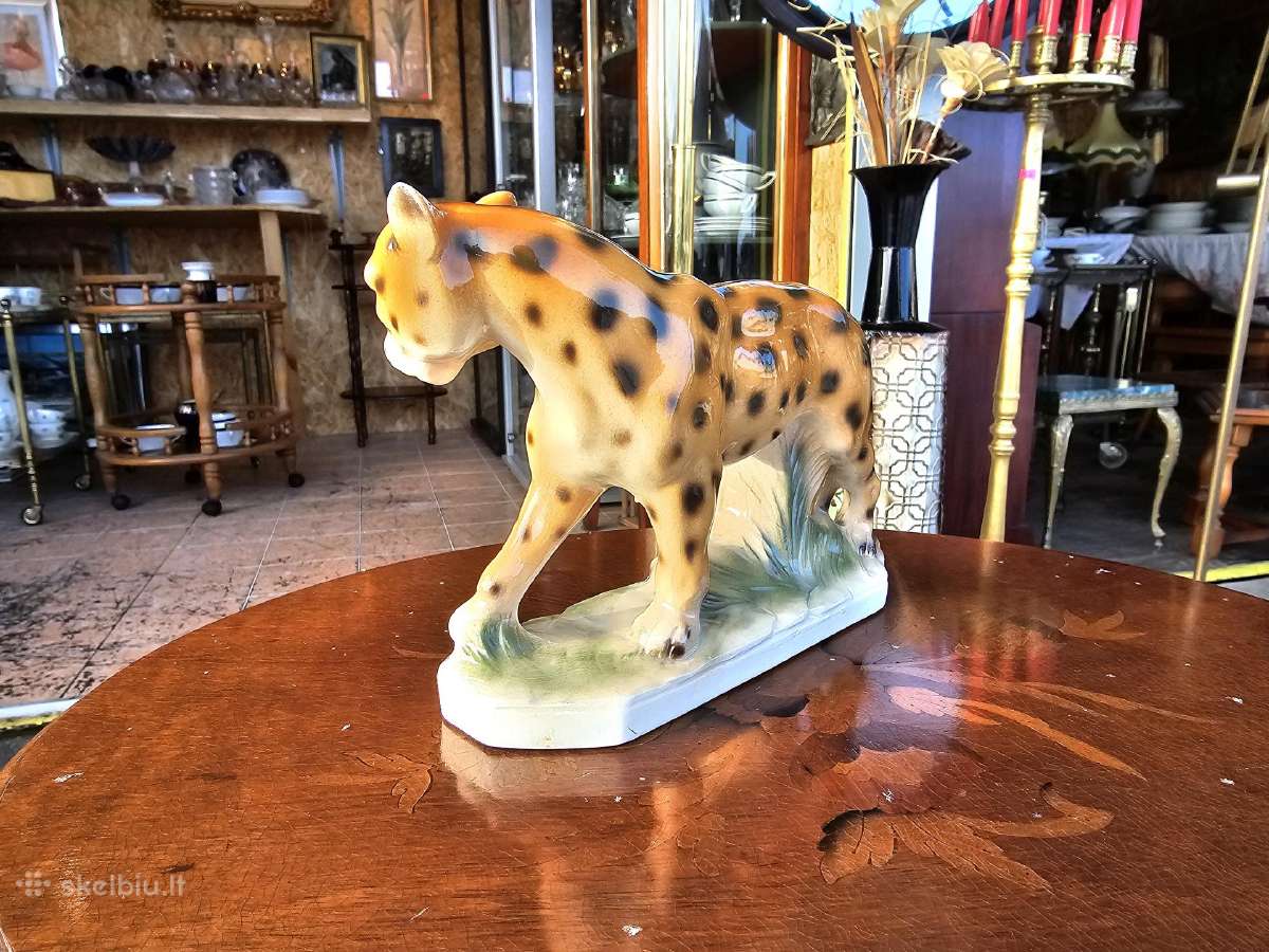 Leopardas. Sitzendorf 34271 - nuotraukos Nr. 3