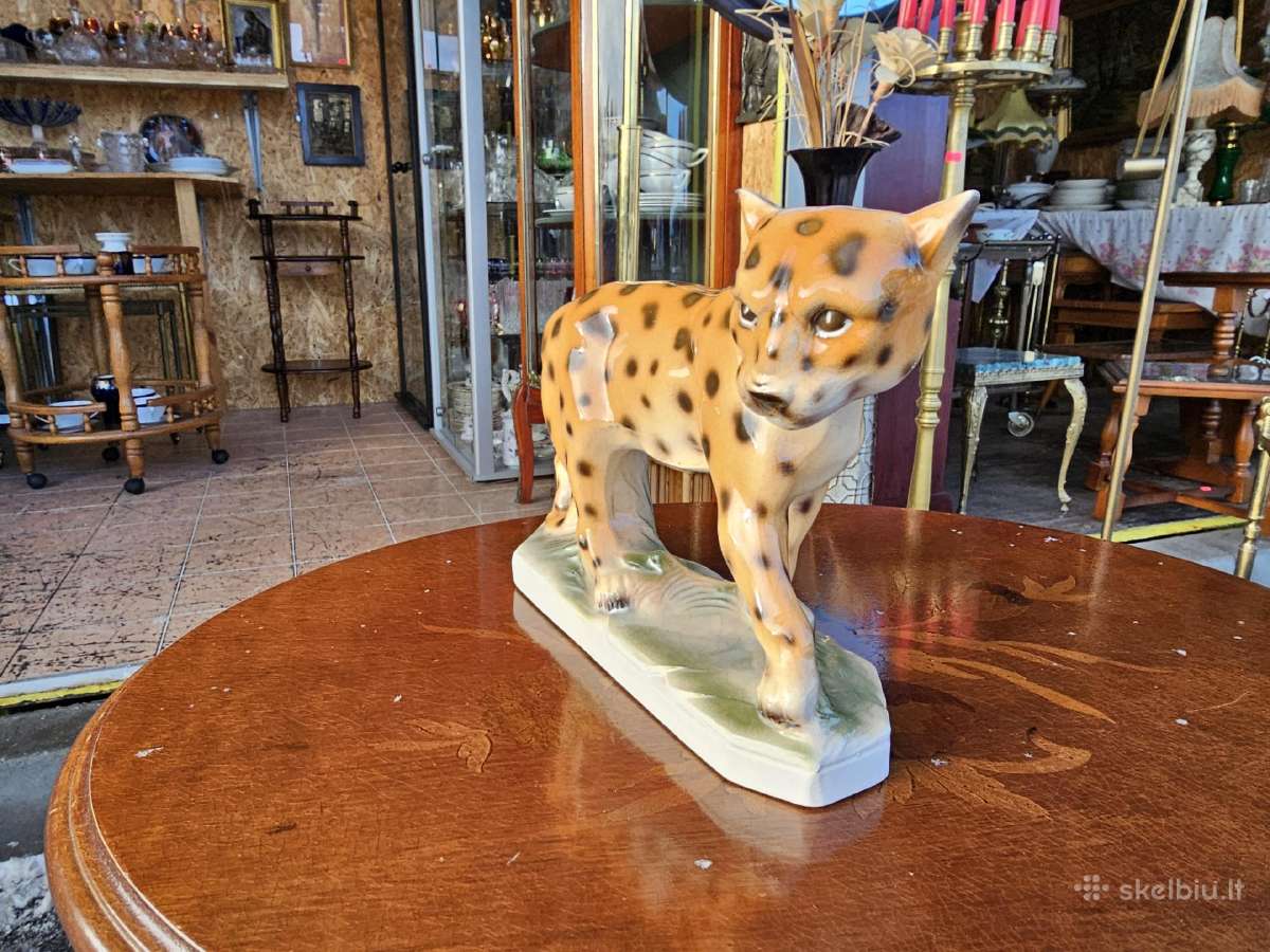 Leopardas. Sitzendorf 34271 - nuotraukos Nr. 4