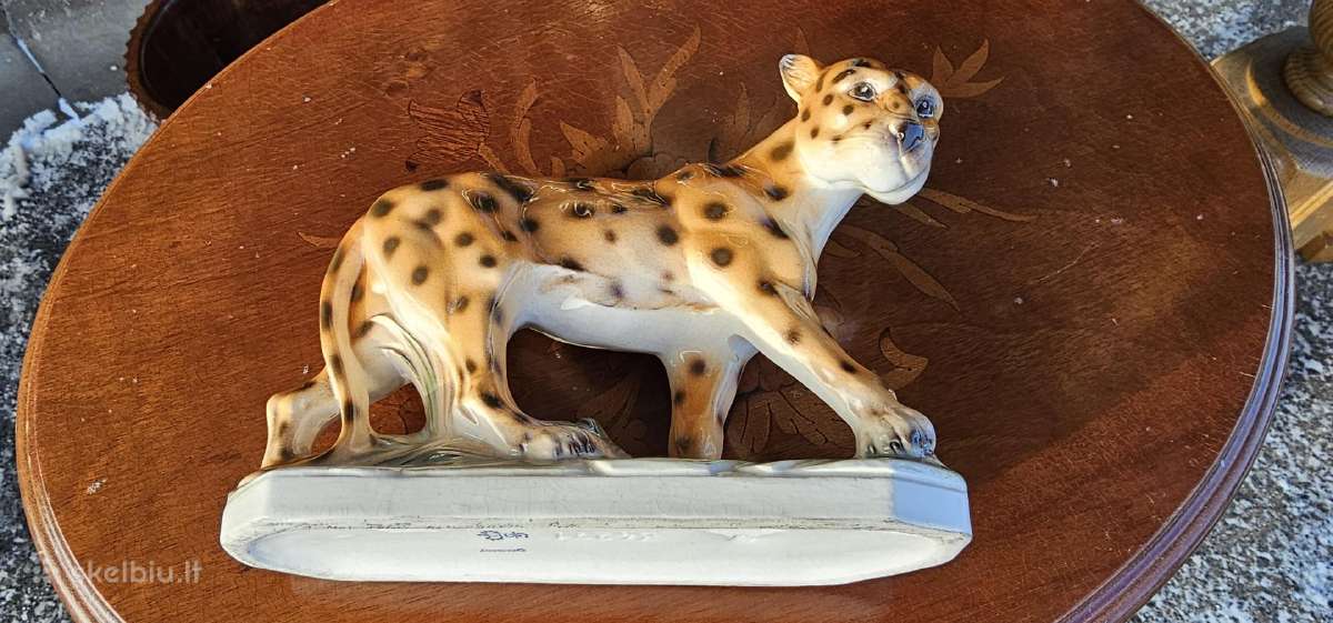 Leopardas. Sitzendorf 34271 - nuotraukos Nr. 6