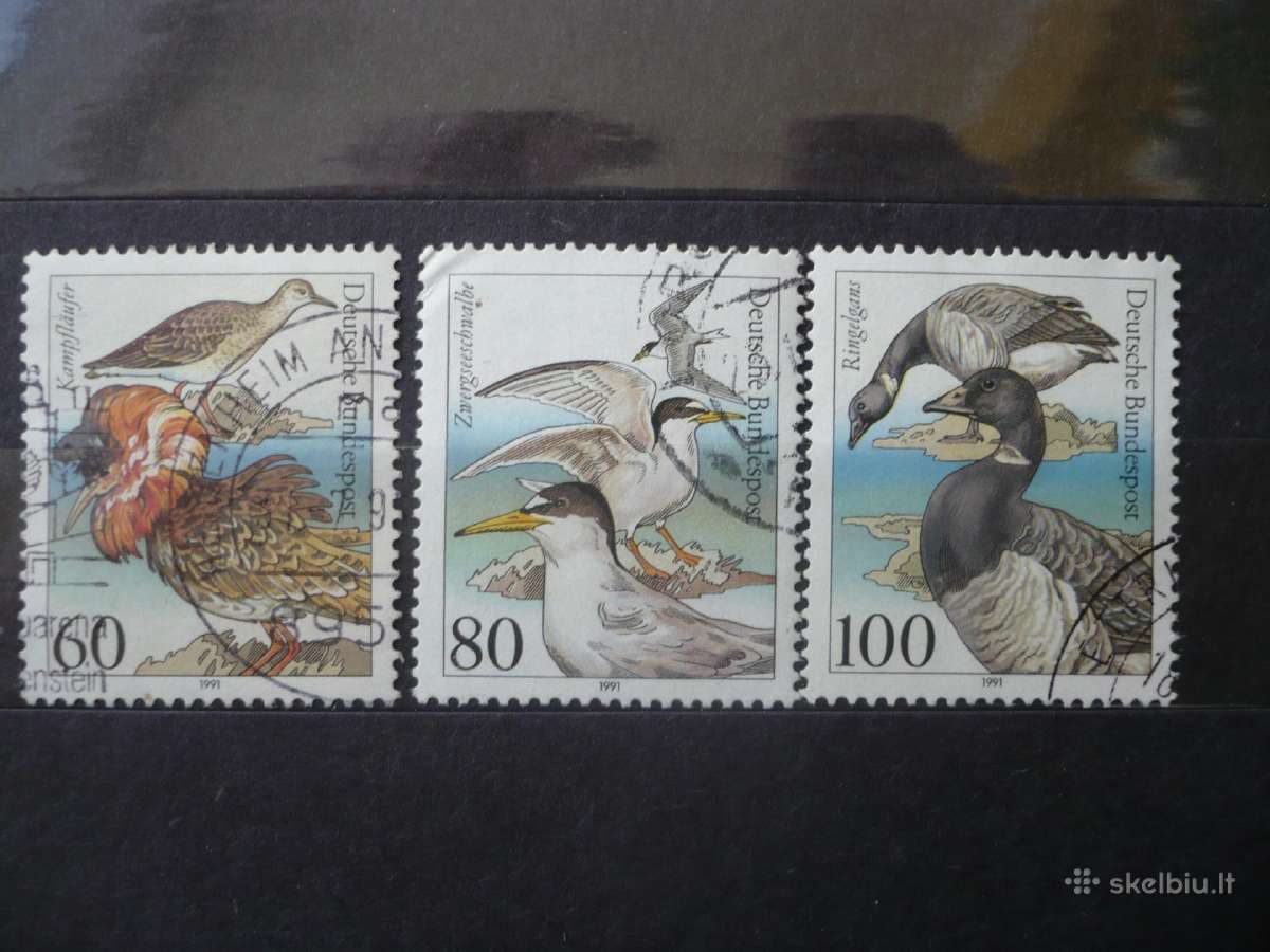1991 Paukščiai
