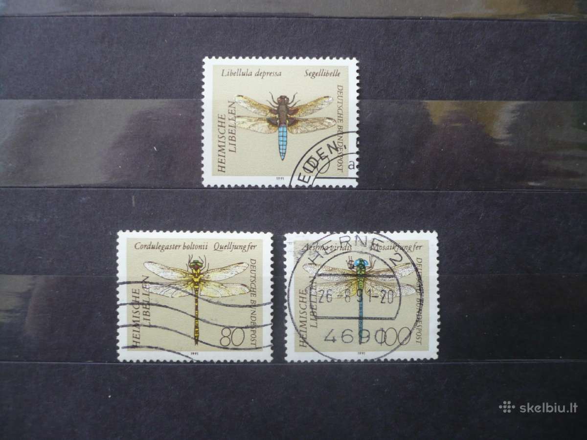 1991 Aukso kalvis
