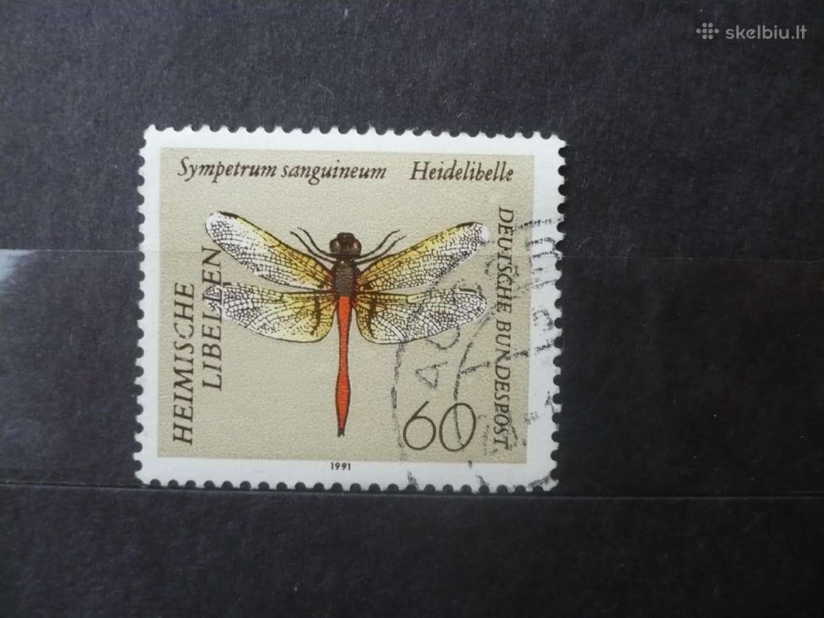 1991 m. Vabzdžiai – auksarankis