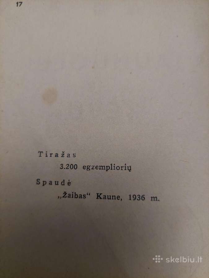 Jaunuoliui ir tėvui - nuotraukos Nr. 3