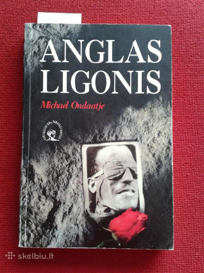 Grožinė literatūra, fotografija, knygelės vaikams. - nuotraukos Nr. 15