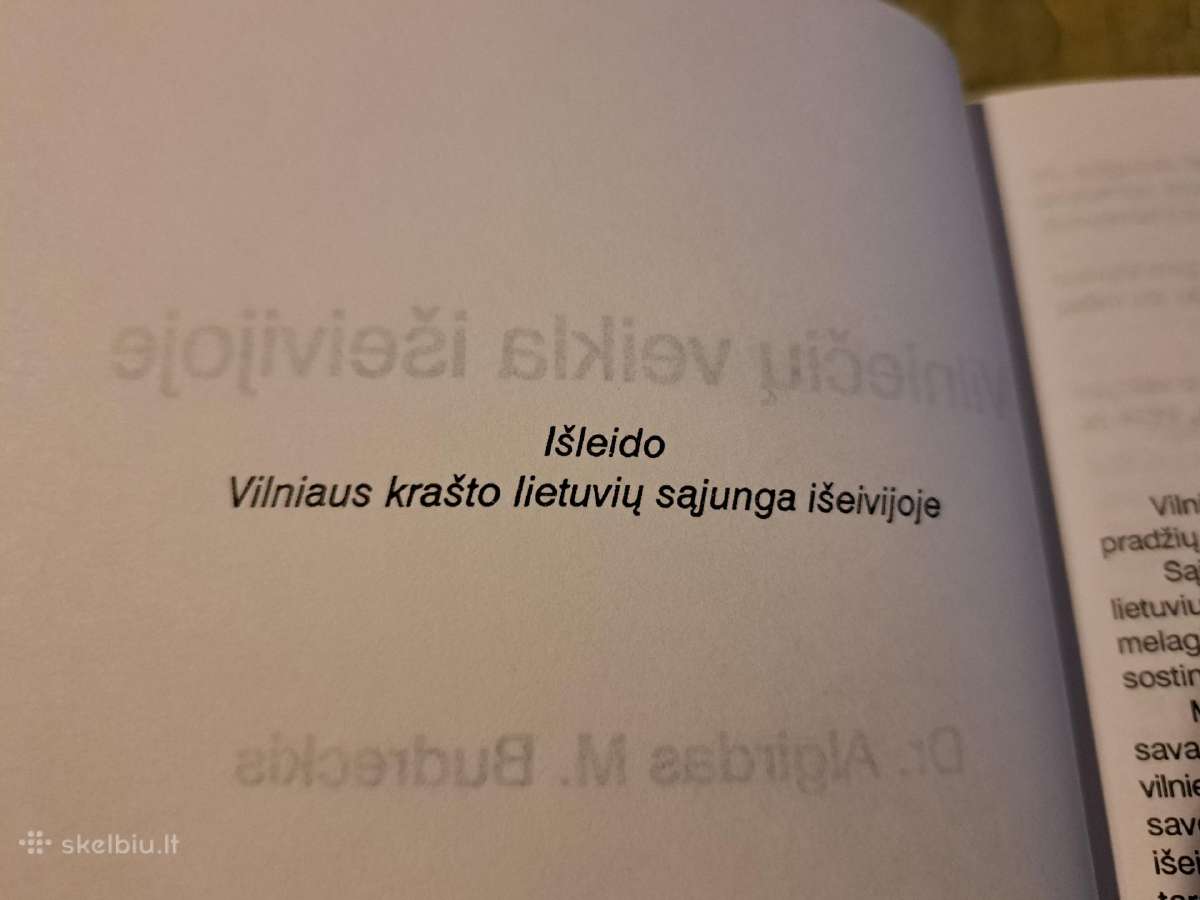 Vilniečių veikla išeivijoje' - nuotraukos Nr. 5