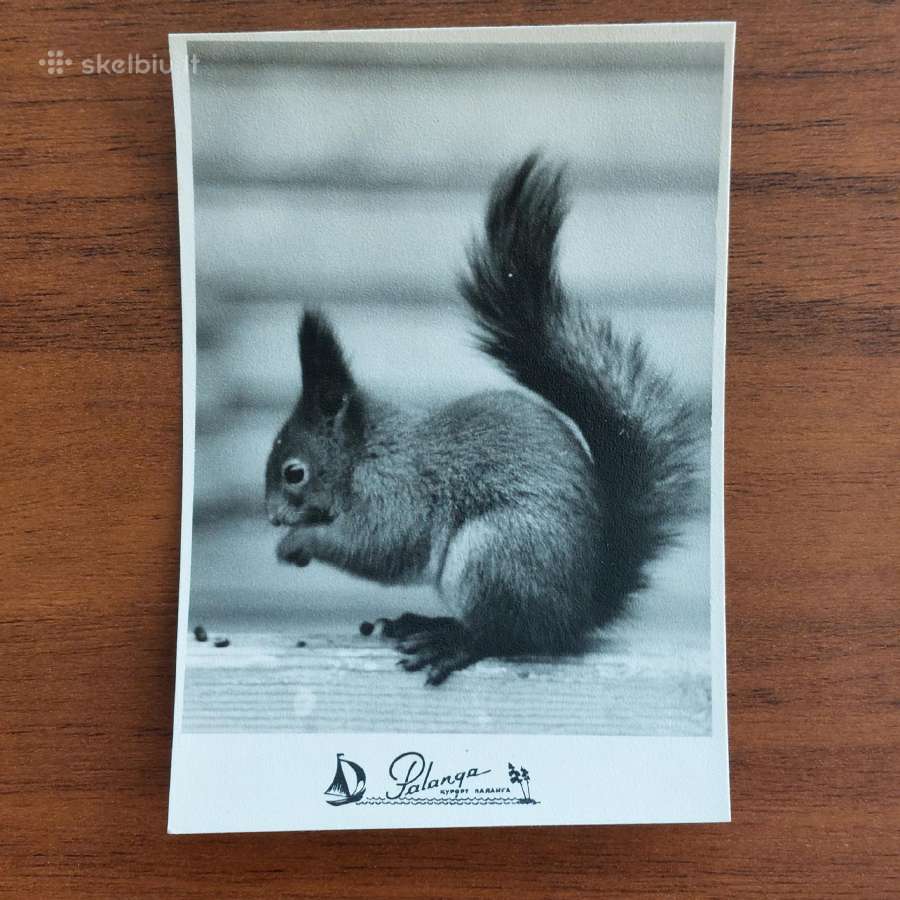 Lietuviškos atvirutės .Skelbimas Nr.5 - nuotraukos Nr. 18