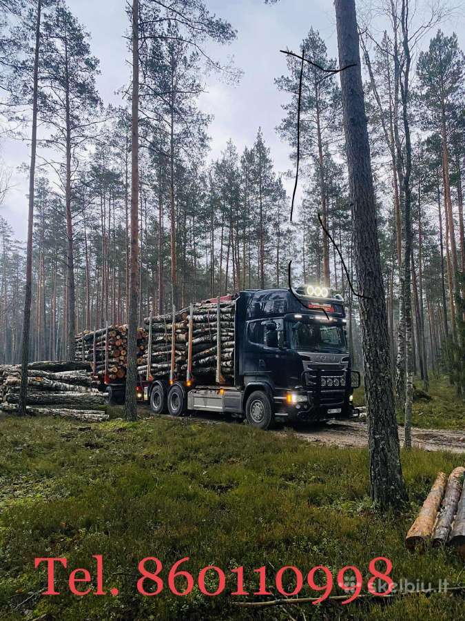 Malkos pigiau! Beržas,uosis,ąžuolas,alksnis. - nuotraukos Nr. 22