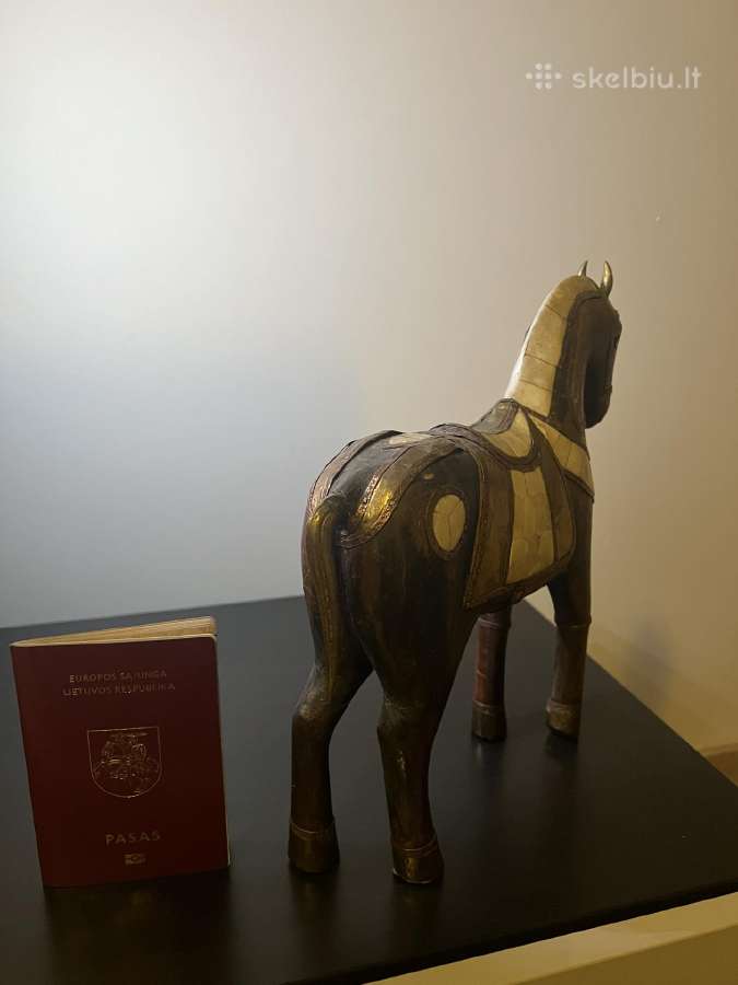 Arklio statula - nuotraukos Nr. 2