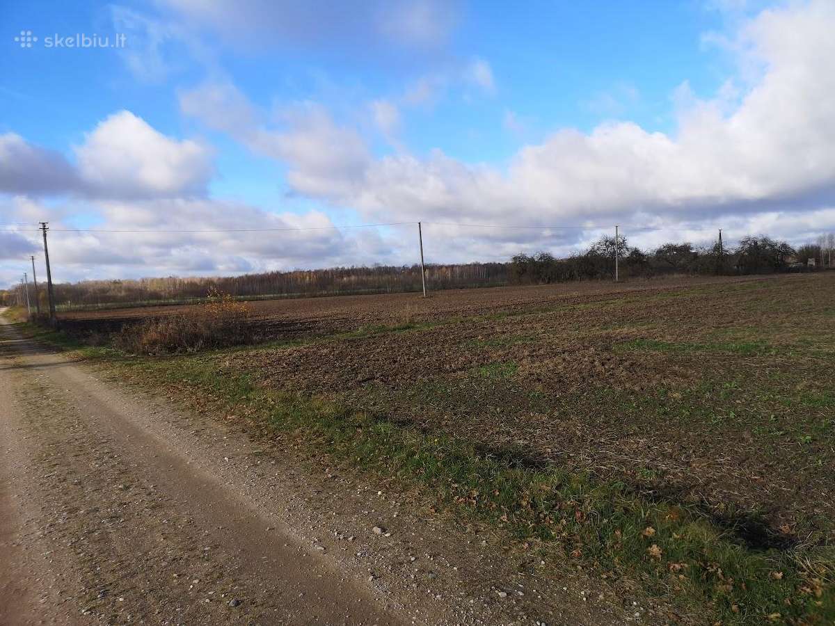Parduodamas 300 arų sklypas - nuotraukos Nr. 4