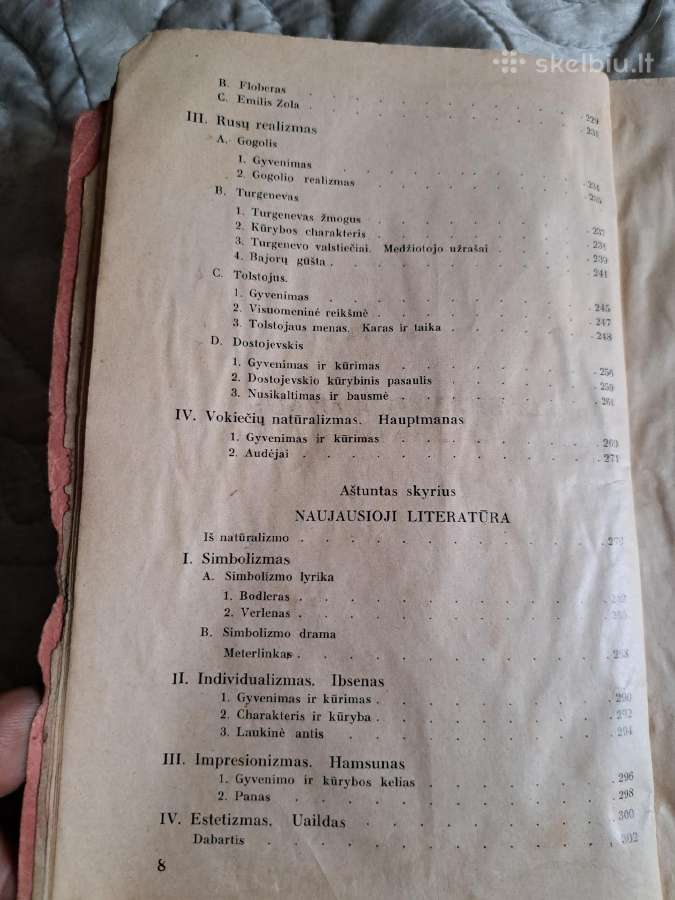 ,Visuotinė literatūros istorija - nuotraukos Nr. 7