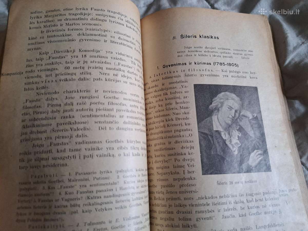 ,Visuotinė literatūros istorija - nuotraukos Nr. 11
